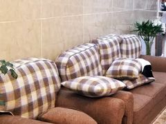 -永靓口腔.数字化种植矫正中心