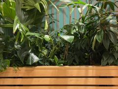 -Shake Shack(西单大悦城店)
