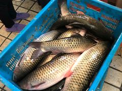 -嘉荟市场(北新泾店)