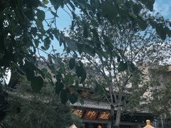 -华林禅寺