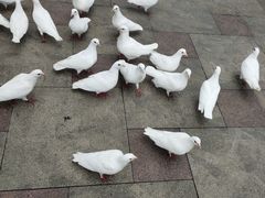 -国色天乡三期陆地乐园