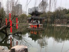 -水绘园