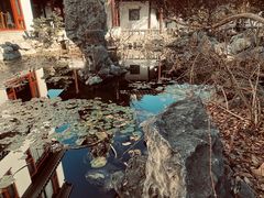 -苏州冶园园林民宿(太湖西山风景区店)