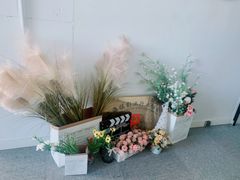 -白箱照相馆·外拍