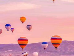 -肘子酥(后台2号路店)