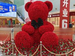 -皇庭广场(福华三路店)