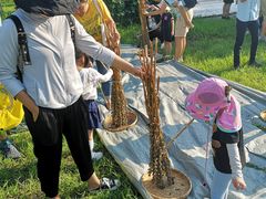 -九善农植有机生活农场