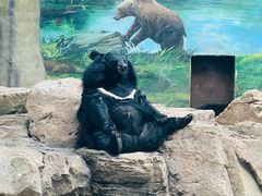 -鄂尔多斯野生动物园