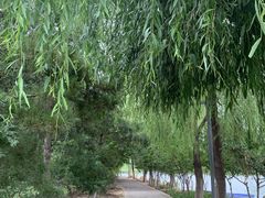 -大兴滨河森林公园