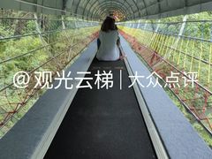 -南武当山景区