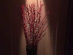 -丽晶大班SPA(大沽店)