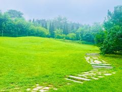 -棒棰岛宾馆景区