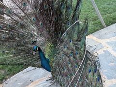 -南戴河国际娱乐中心