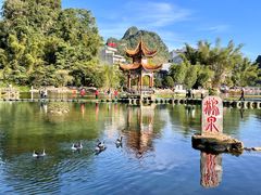 -靖西鹅泉风景区