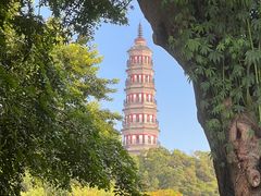 -顺峰山公园