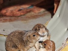 -正佳雨林生态植物园