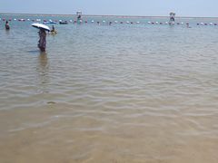 -碧海金沙