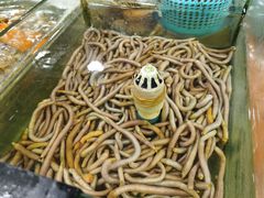 -岛中岛·海鲜大排档·万宁老字号(东澳店)