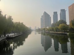 -三里屯东五街银杏大道
