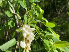 -南京金牛湖风景区