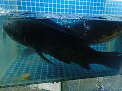 -宝荣鱼馆·临湖之宴(千岛湖店)