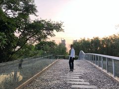 -九里河湿地公园