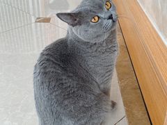 -Catmate·猫肥家润(金润铂宫店)