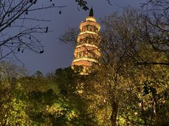 -顺峰山公园