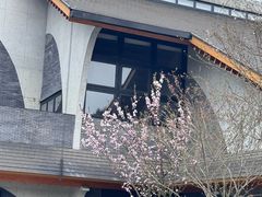 -安仁古镇
