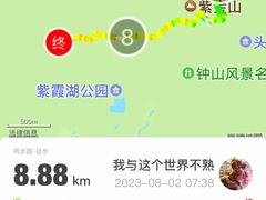 -紫金山山顶公园
