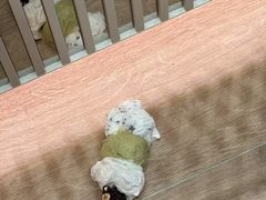 -VENCHI 闻绮(上海佛罗伦萨小镇店)