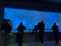 -北戴河圣蓝海洋公园