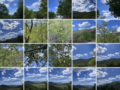 -鹫峰国家森林公园