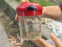 -华农酸奶文化馆