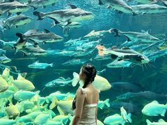 -波塞冬旅游度假区