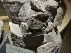 -陕西自然博物馆