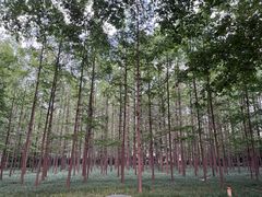 -河南省黄河迎宾馆