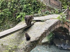 -西岭雪山大飞水景区