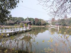 -青龙山国家森林公园