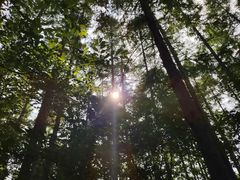 -长春净月潭风景名胜区