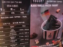 -JW德国冻酸奶Frozen Yogurt(龙湖成都滨江天街店)
