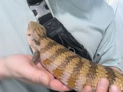 -上海昆虫博物馆