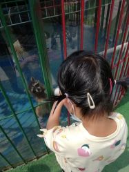 -萌宠亲子动物乐园(槐房万达店)