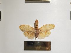 -上海昆虫博物馆