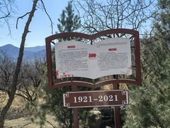 -阳台山自然风景区