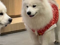 -瑞虹新天地月亮湾