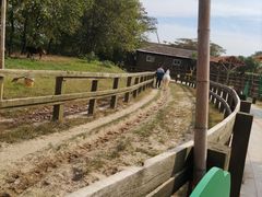 -苏州太湖西山岛开心农场