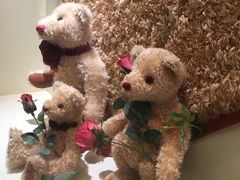 -济州岛泰迪熊博物馆