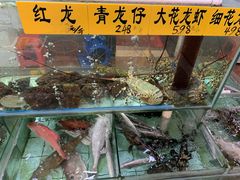 -寻味顺德·南记酒家·传统顺德菜·鱼生(广源路店)