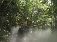-呀诺达热带雨林